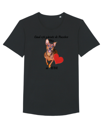 Iubitor de animale Pinscher Pitic Black
