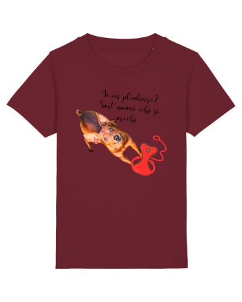 Indragostit de plimbari Burgundy