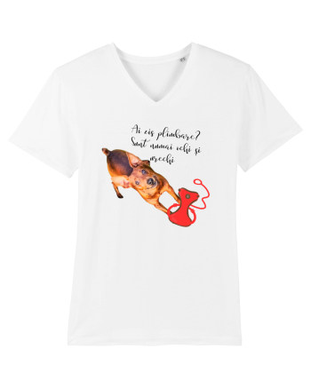 Indragostit de plimbari White