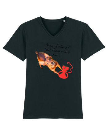 Indragostit de plimbari Black