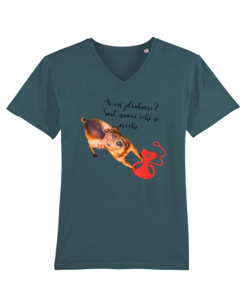 Indragostit de plimbari Stargazer