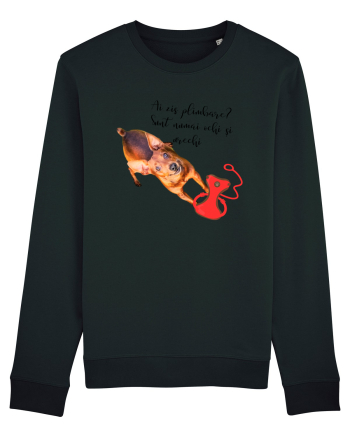 Indragostit de plimbari Black