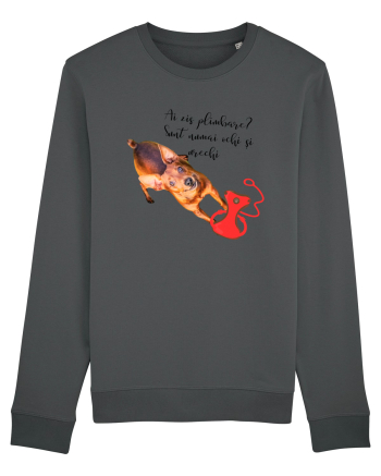 Indragostit de plimbari Anthracite