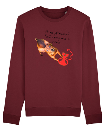 Indragostit de plimbari Burgundy