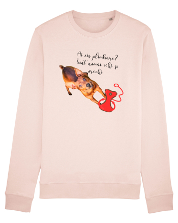 Indragostit de plimbari Candy Pink