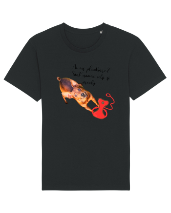 Indragostit de plimbari Black