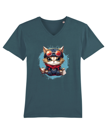 Christmas cat Stargazer