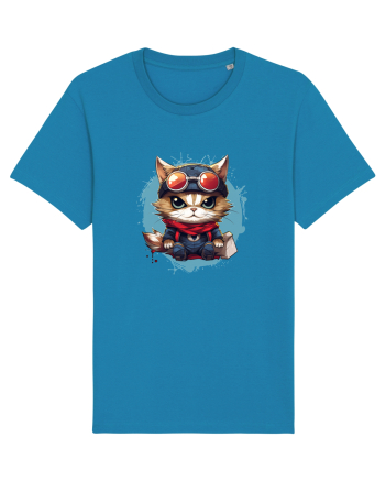 Christmas cat Azur