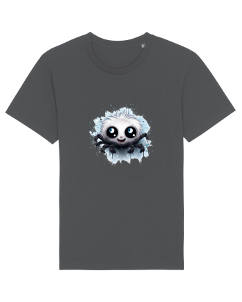 Sweet spider Anthracite