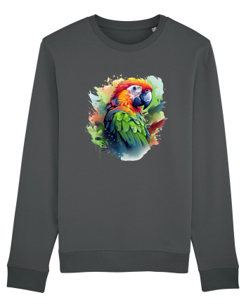 Sweet bird Anthracite