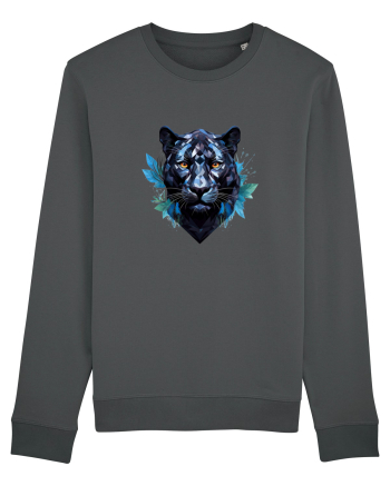 Dream Puma Anthracite