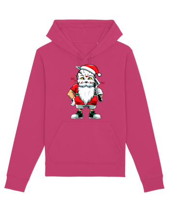 ANOTHER SANTA Raspberry