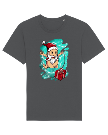 SANTA'S DEEP SURPRIZE Anthracite