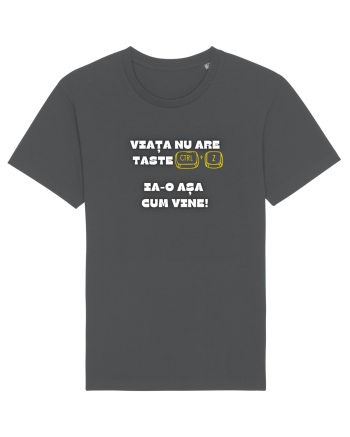 VIAȚA NU ARE TASTE CTRL + Z Anthracite