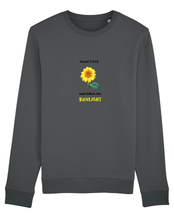 Stand tall Anthracite