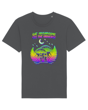 See the Universe Anthracite