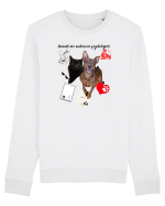 Animals are undercover psychologists Bluză mânecă lungă Unisex Rise