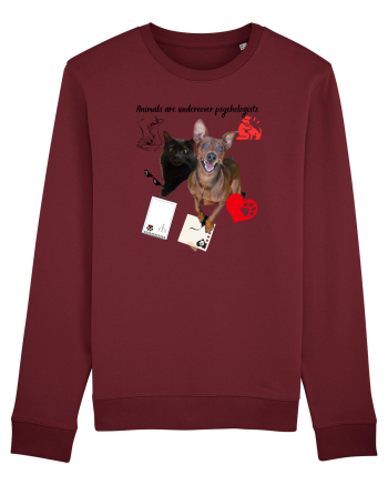 Animals are undercover psychologists Burgundy