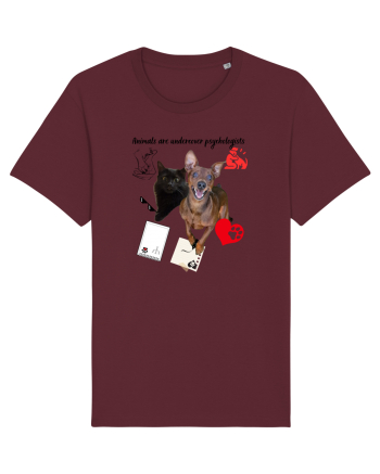 Animals are undercover psychologists Burgundy