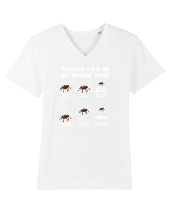 SPIDER White