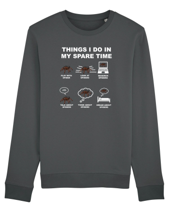 SPIDER Anthracite