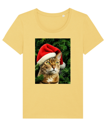 Cat in Christmas tree Jojoba