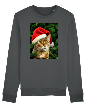 Cat in Christmas tree Anthracite
