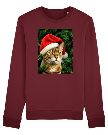 Cat in Christmas tree Burgundy