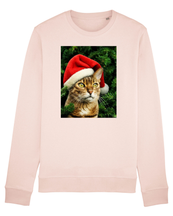 Cat in Christmas tree Candy Pink