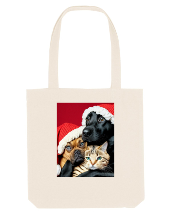 Dogs and cat in Christmas spirit  Natural