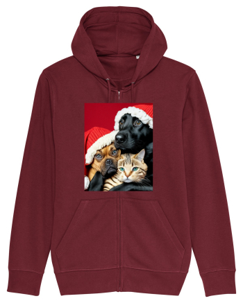 Dogs and cat in Christmas spirit  Burgundy