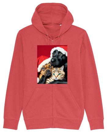 Dogs and cat in Christmas spirit  Carmine Red