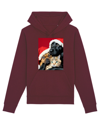 Dogs and cat in Christmas spirit  Burgundy