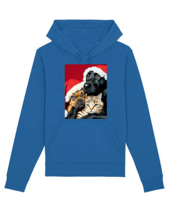 Dogs and cat in Christmas spirit  Royal Blue