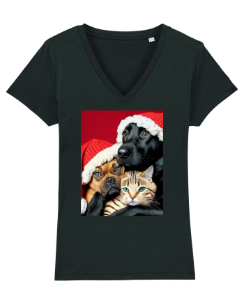 Dogs and cat in Christmas spirit  Black