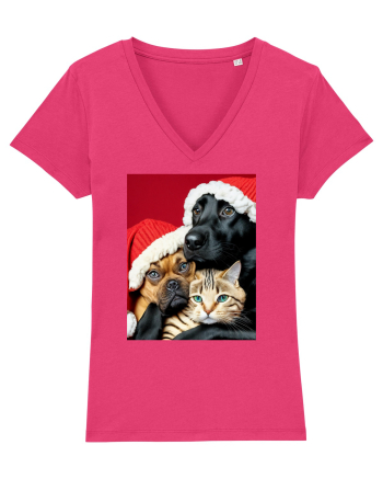 Dogs and cat in Christmas spirit  Raspberry