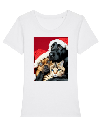 Dogs and cat in Christmas spirit  White