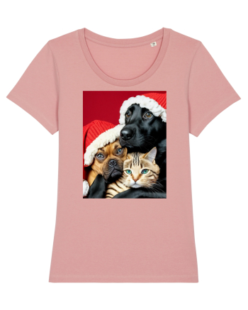 Dogs and cat in Christmas spirit  Canyon Pink