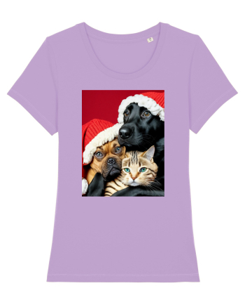 Dogs and cat in Christmas spirit  Lavender Dawn
