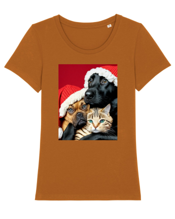 Dogs and cat in Christmas spirit  Roasted Orange