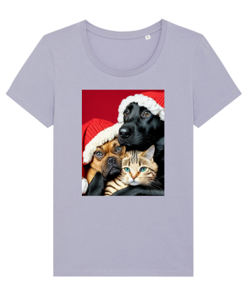 Dogs and cat in Christmas spirit  Lavender