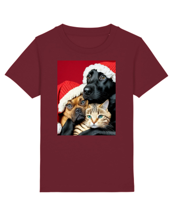 Dogs and cat in Christmas spirit  Burgundy