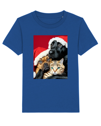 Dogs and cat in Christmas spirit  Majorelle Blue