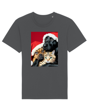 Dogs and cat in Christmas spirit  Anthracite