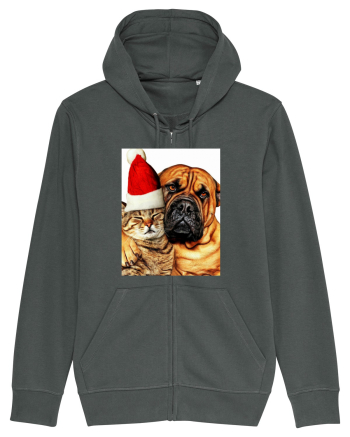 Dogs and cat in Christmas spirit Anthracite