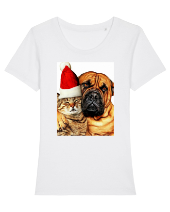 Dogs and cat in Christmas spirit White