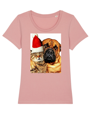 Dogs and cat in Christmas spirit Canyon Pink