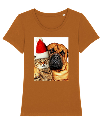 Dogs and cat in Christmas spirit Roasted Orange