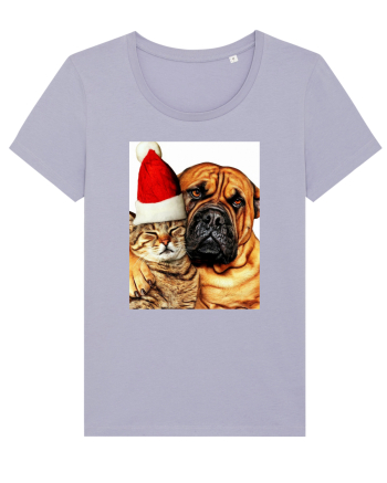 Dogs and cat in Christmas spirit Lavender