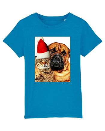 Dogs and cat in Christmas spirit Azur